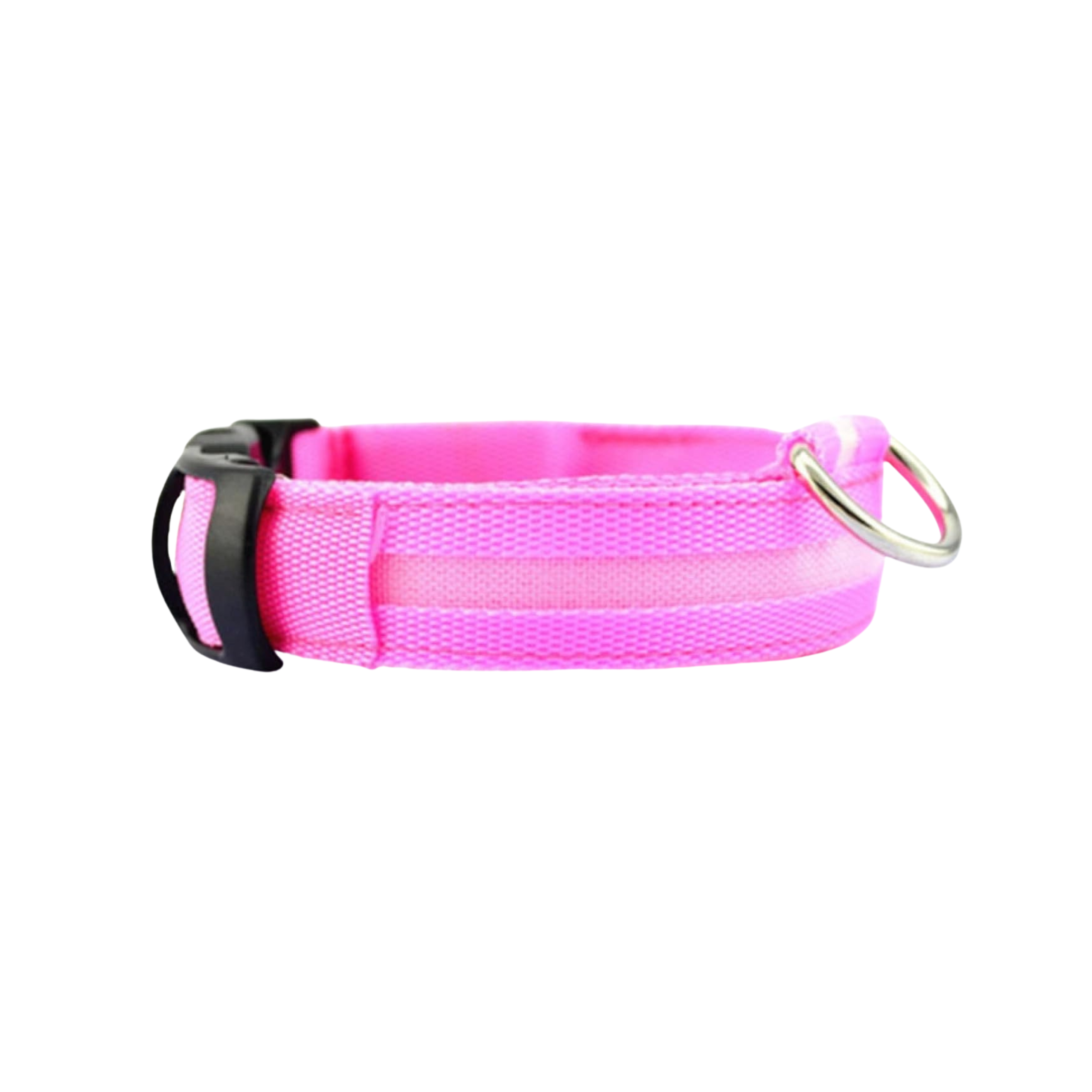 LED Dog Collar