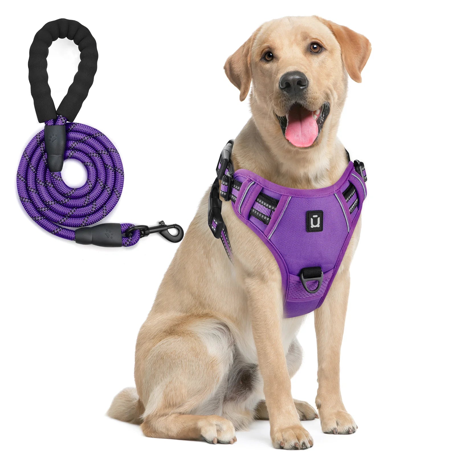 Dog Harness and Leash Set