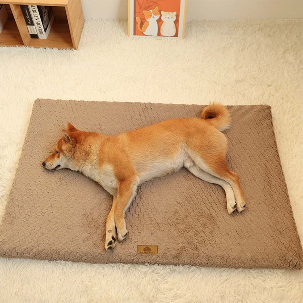 Orthopedic-Washable Dog Bed