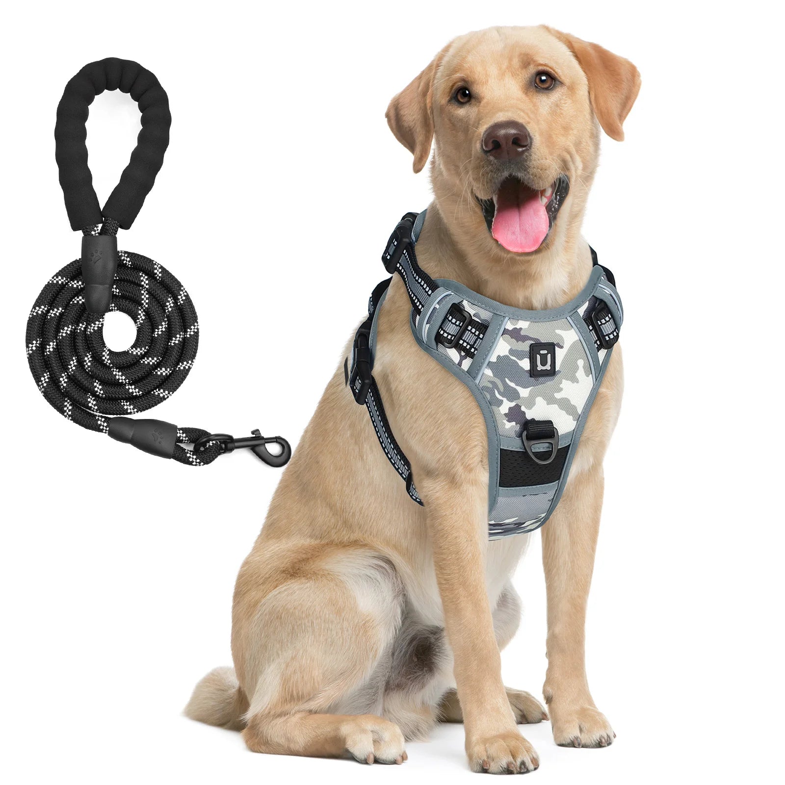 Dog Harness and Leash Set