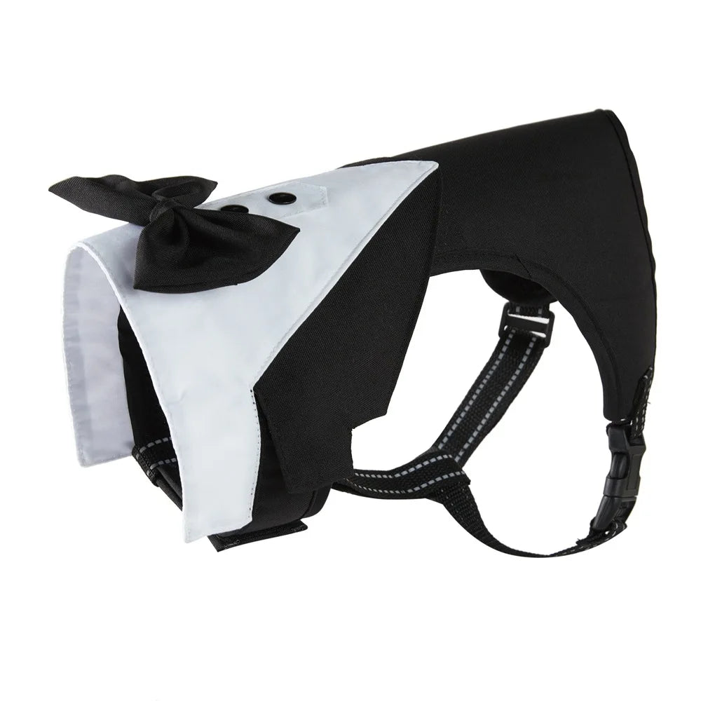 Valentine's Day Dog Tuxedo