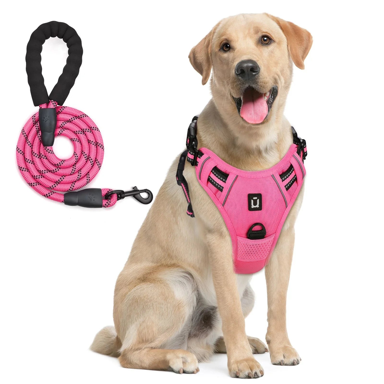 Dog Harness and Leash Set