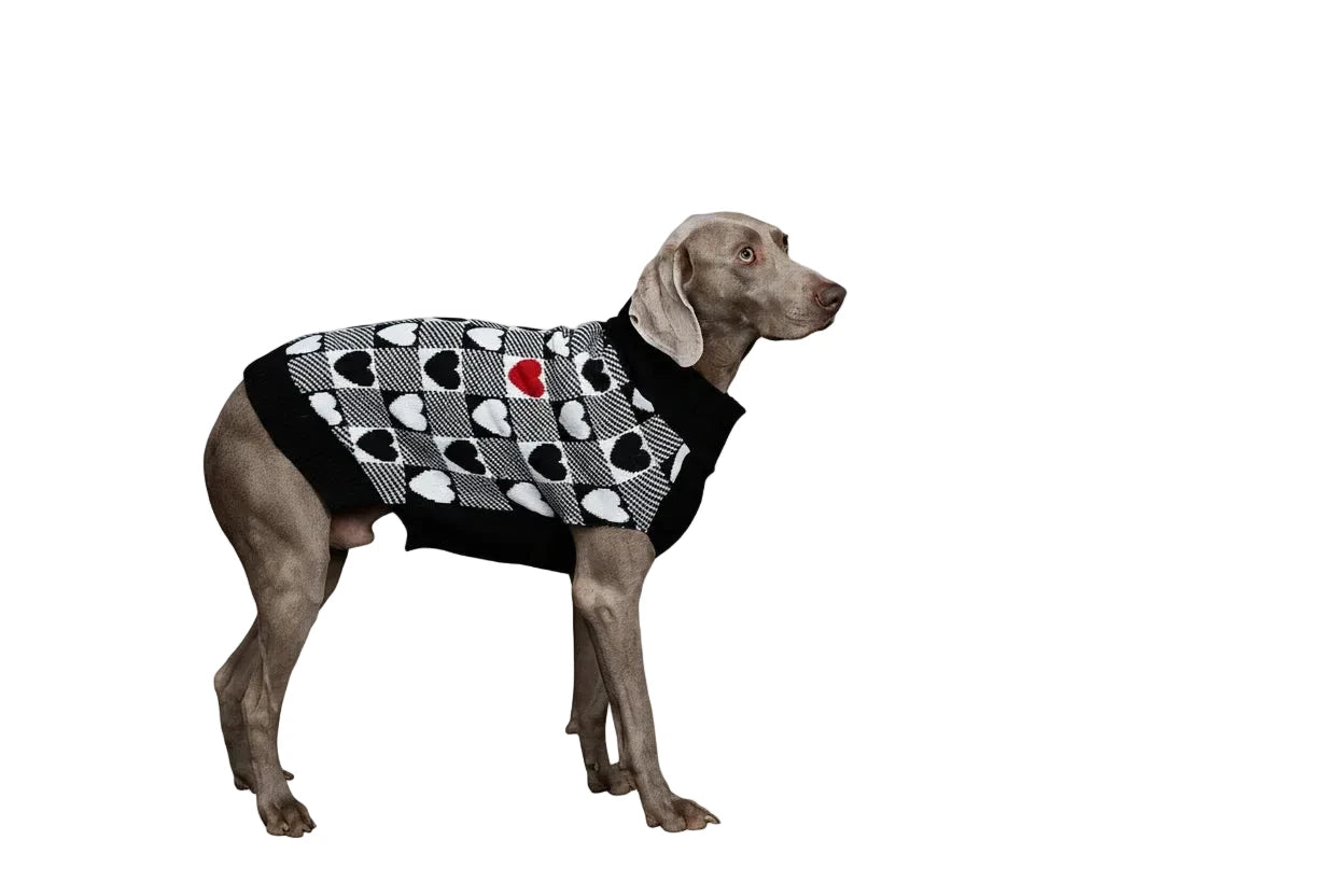 Valentine's Day Dog Jumper