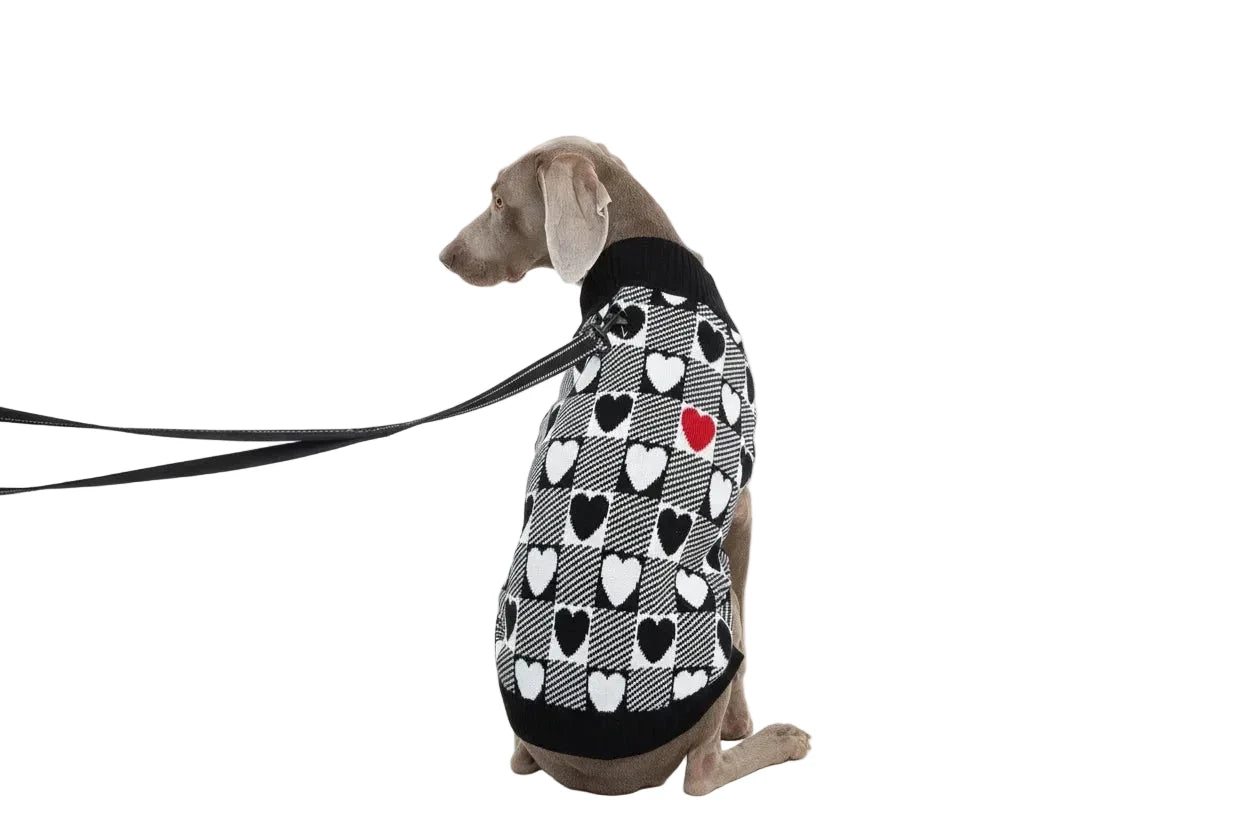 Valentine's Day Dog Jumper