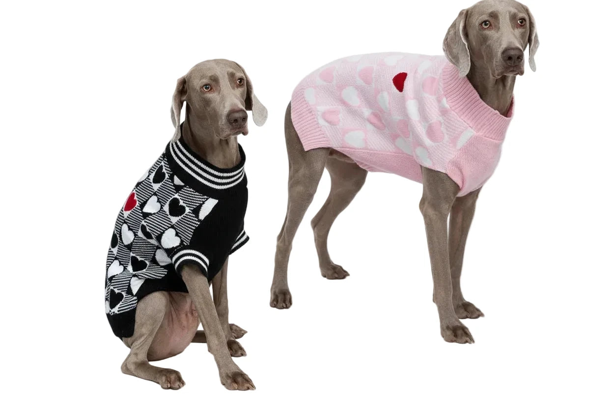 Valentine's Day Dog Jumper