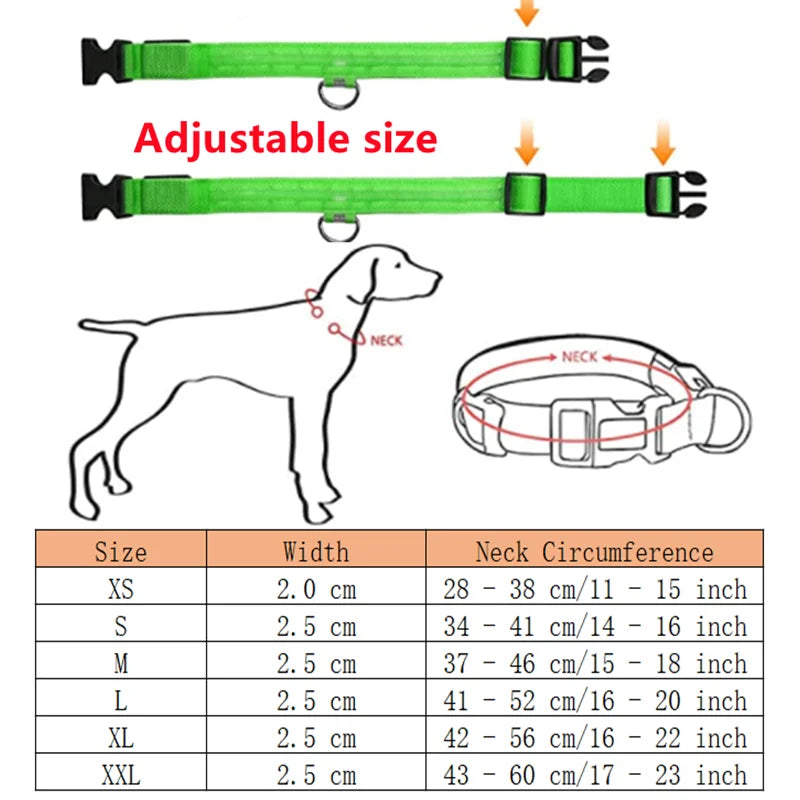 LED Dog Collar