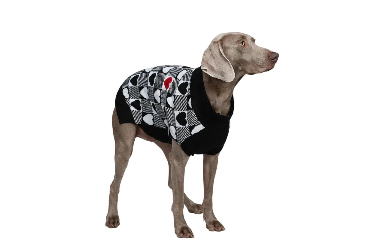 Valentine's Day Dog Jumper