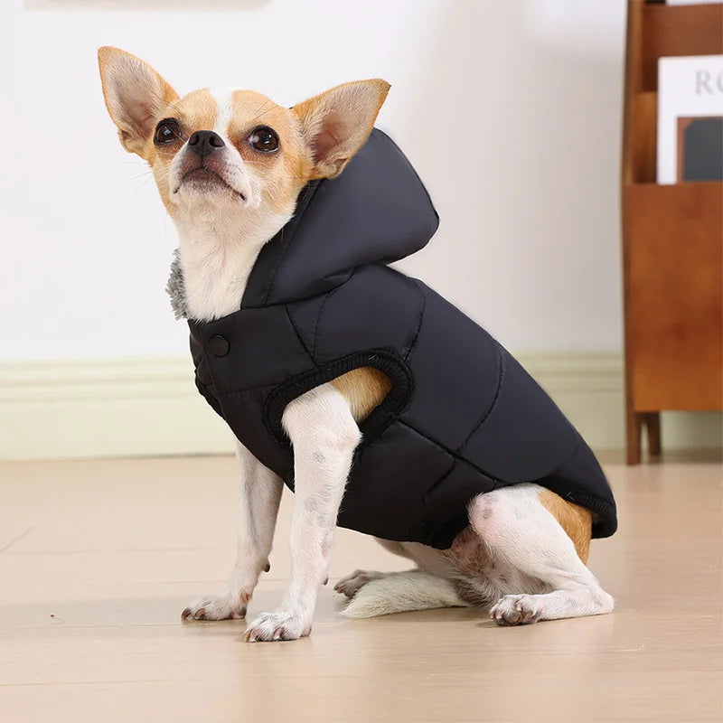 Polar Fleece Dog Hoodie