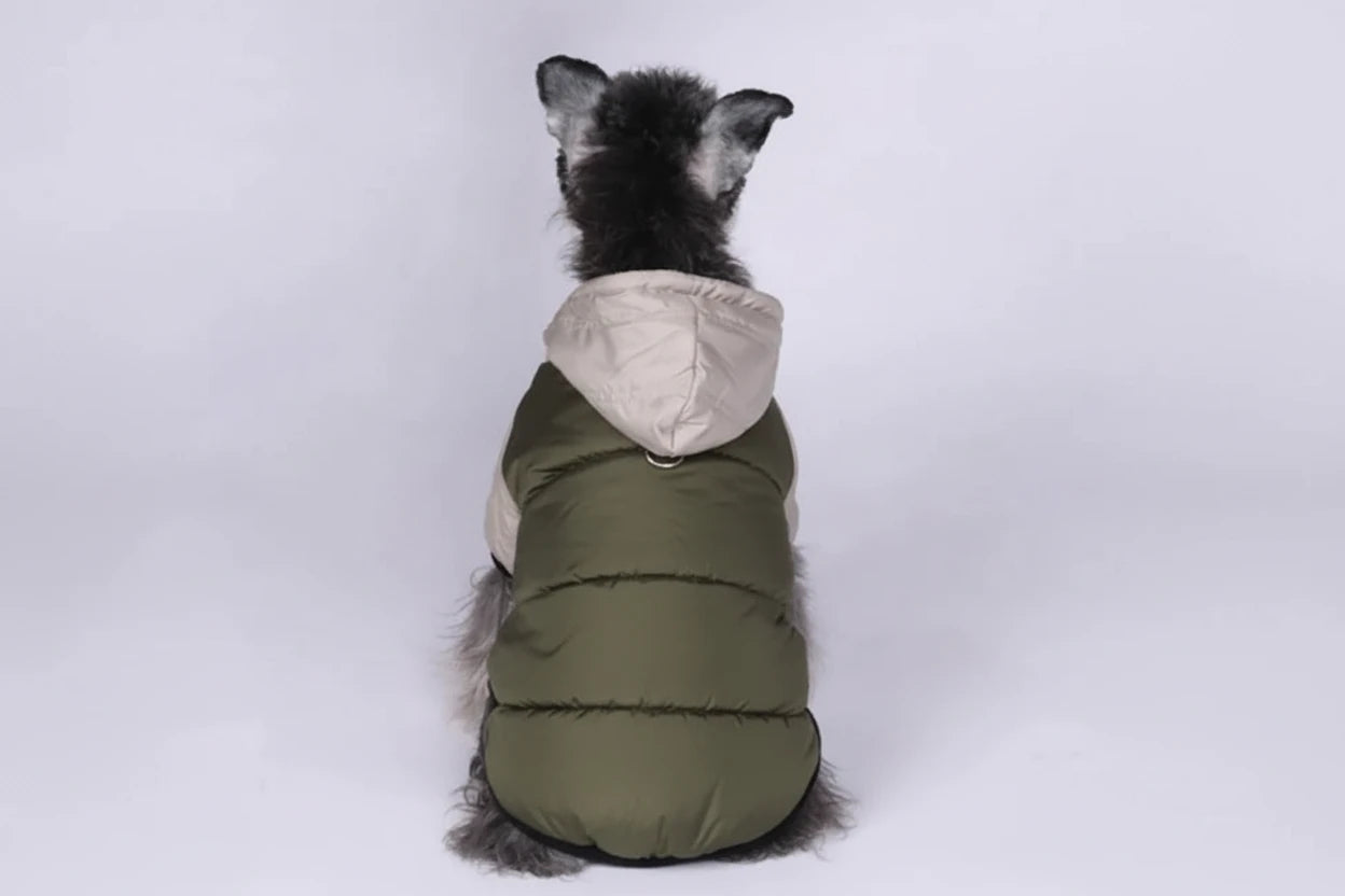 Arctic Hooded Dog Coat
