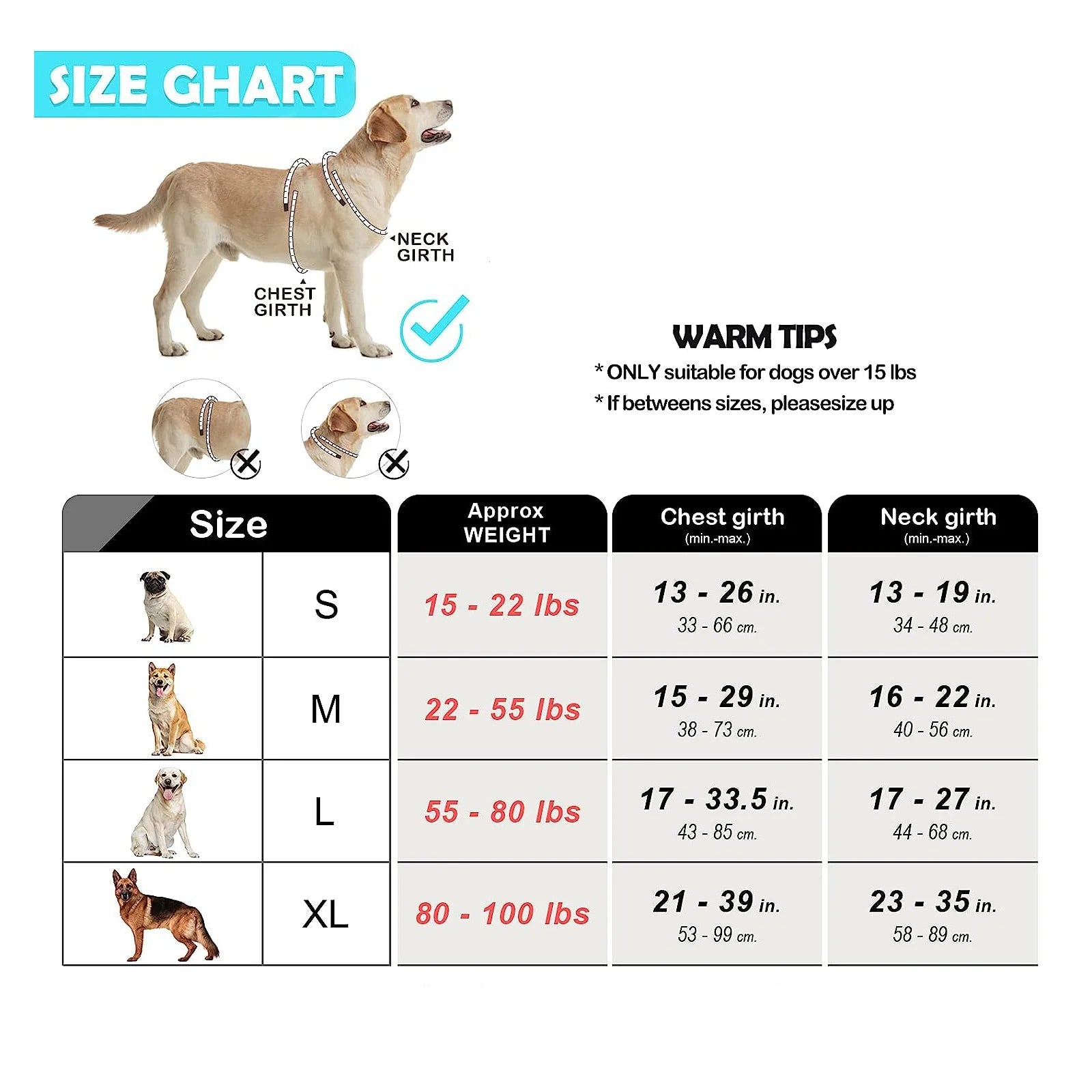 Dog Harness and Leash Set