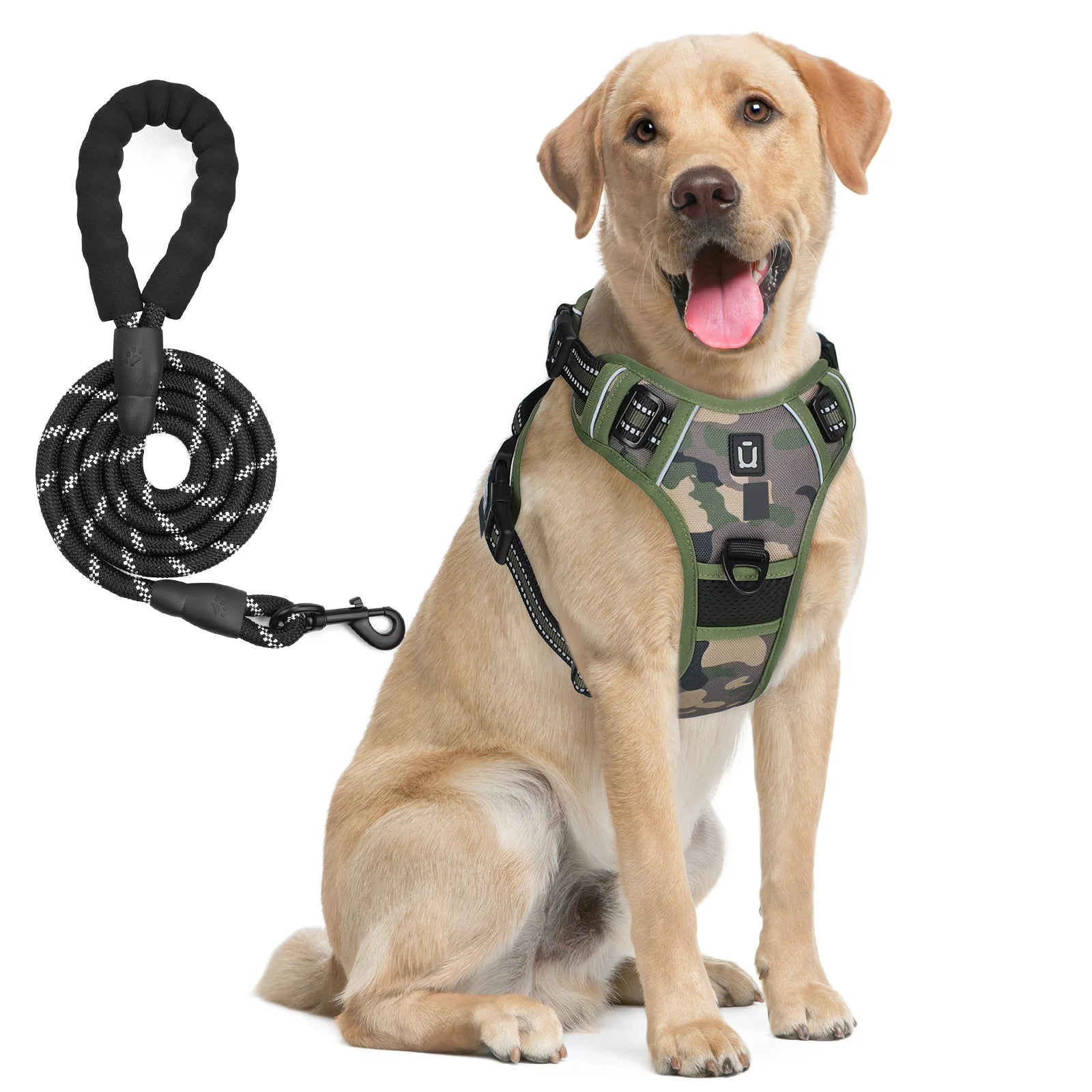 Dog Harness and Leash Set
