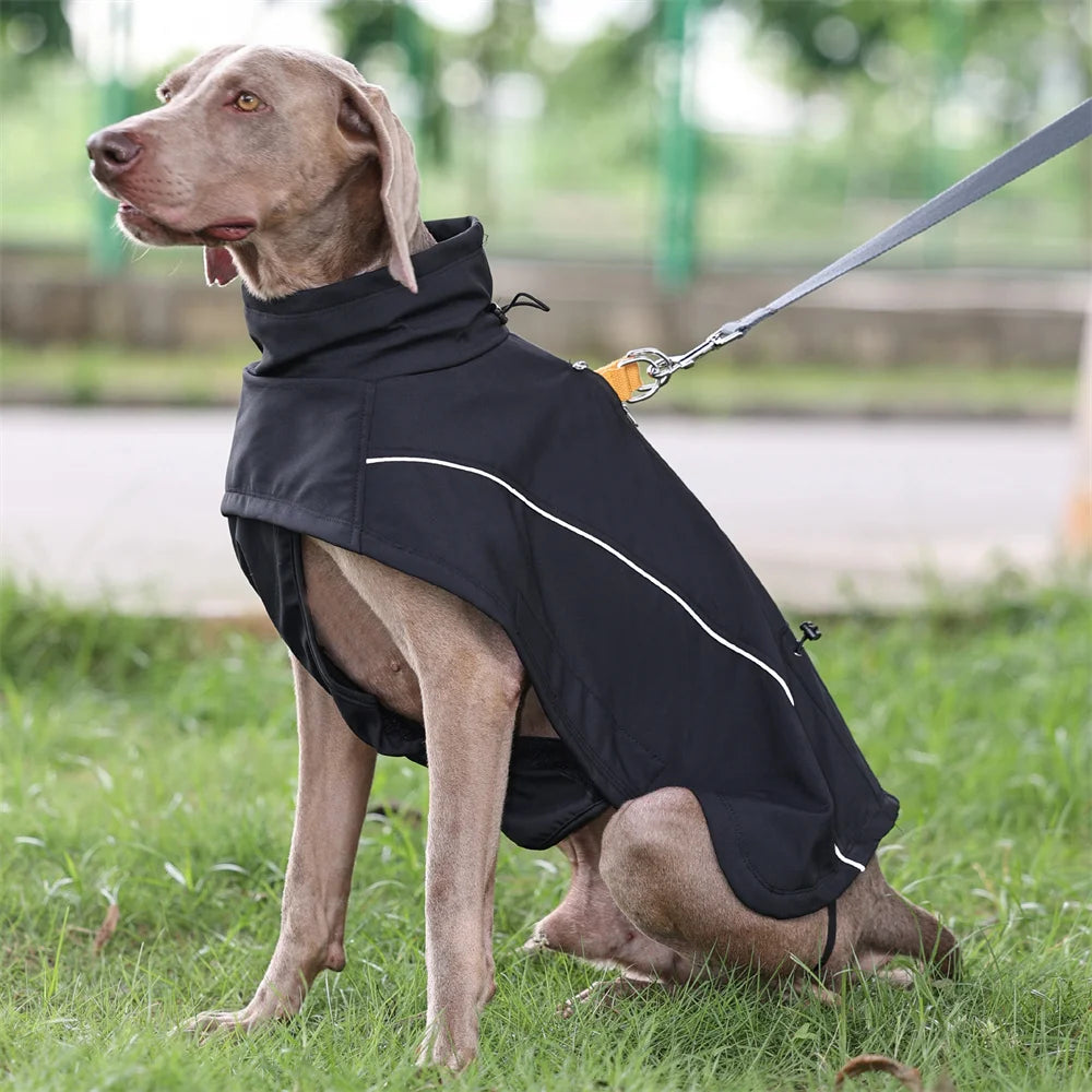 Waterproof Dog Jacket
