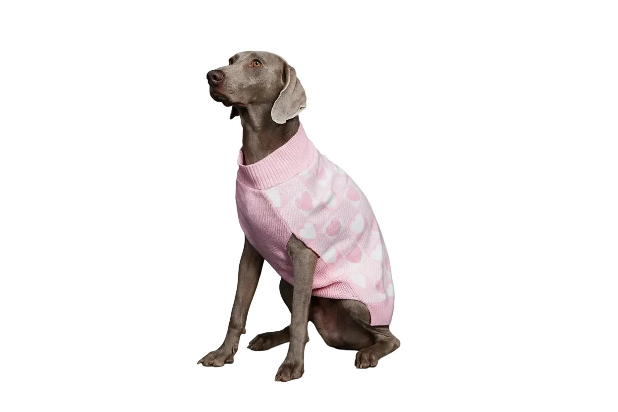 Valentine's Day Dog Jumper