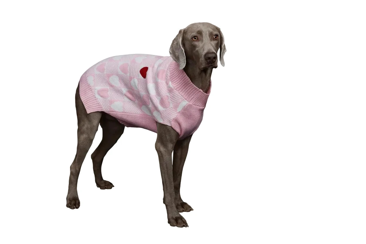 Valentine's Day Dog Jumper