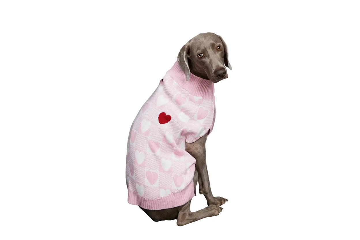 Valentine's Day Dog Jumper
