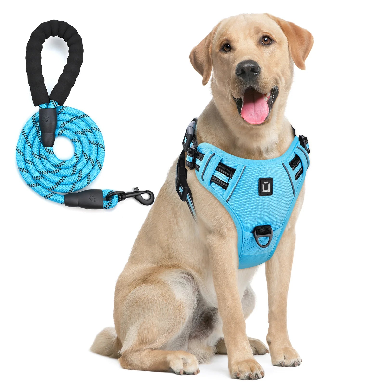 Dog Harness and Leash Set