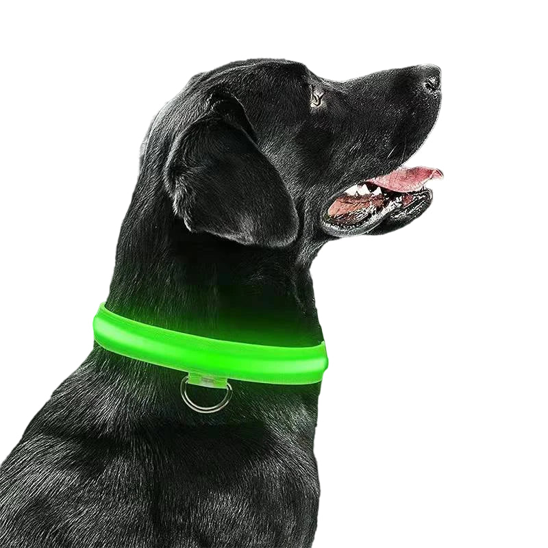 LED Dog Collar