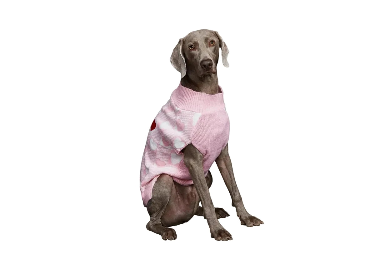 Valentine's Day Dog Jumper