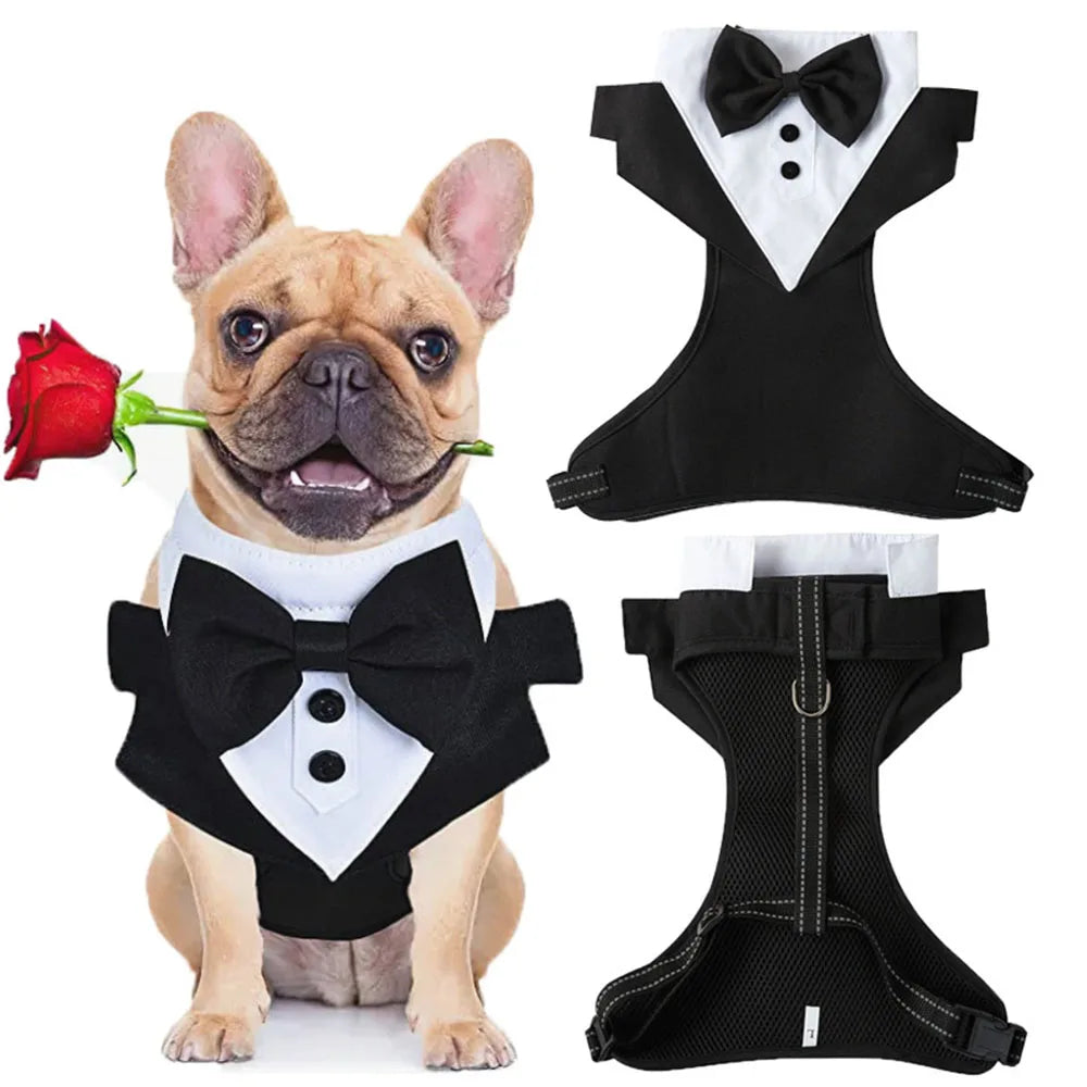 Valentine's Day Dog Tuxedo