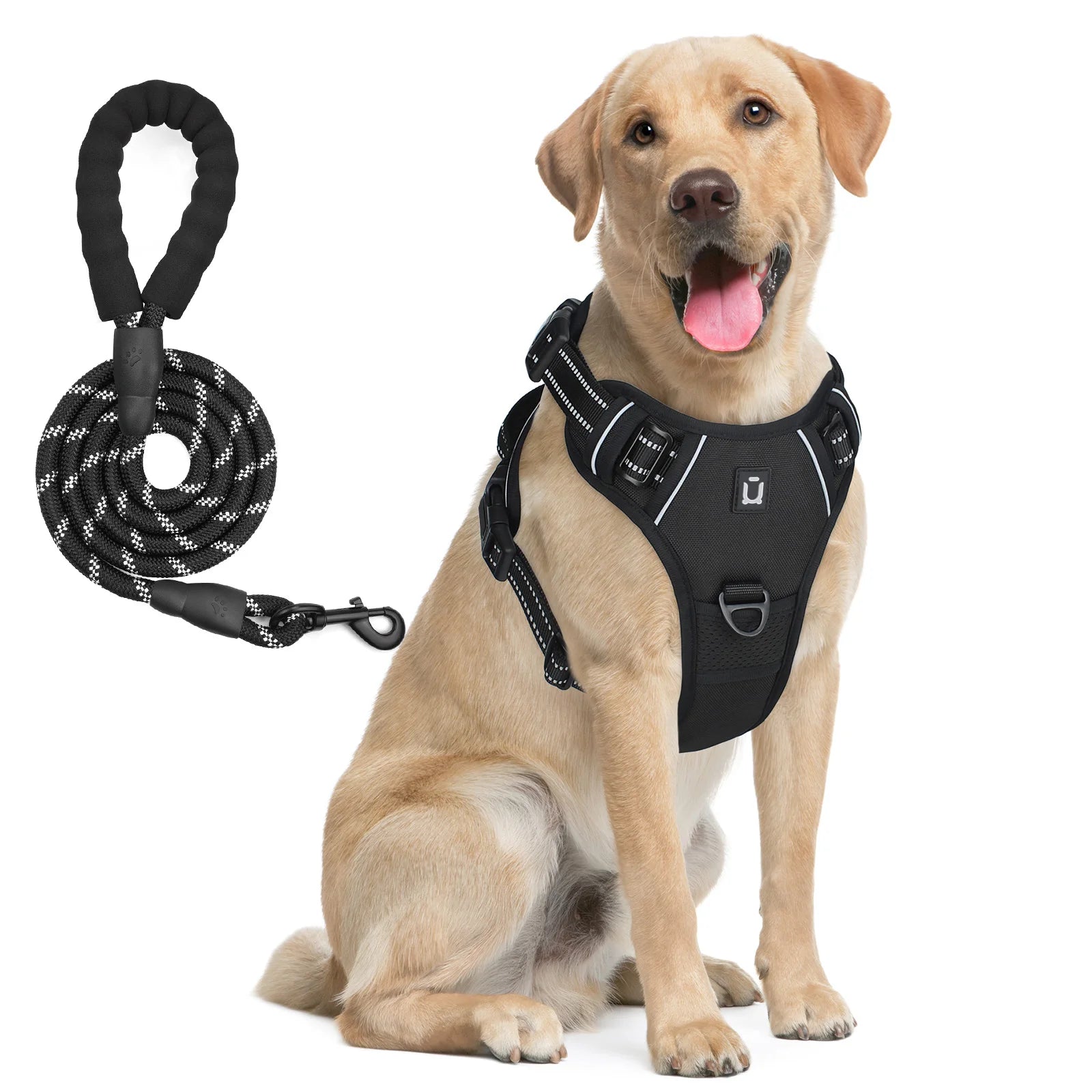 Dog Harness and Leash Set