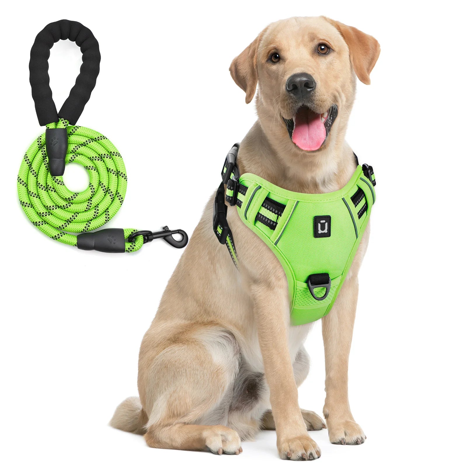 Dog Harness and Leash Set
