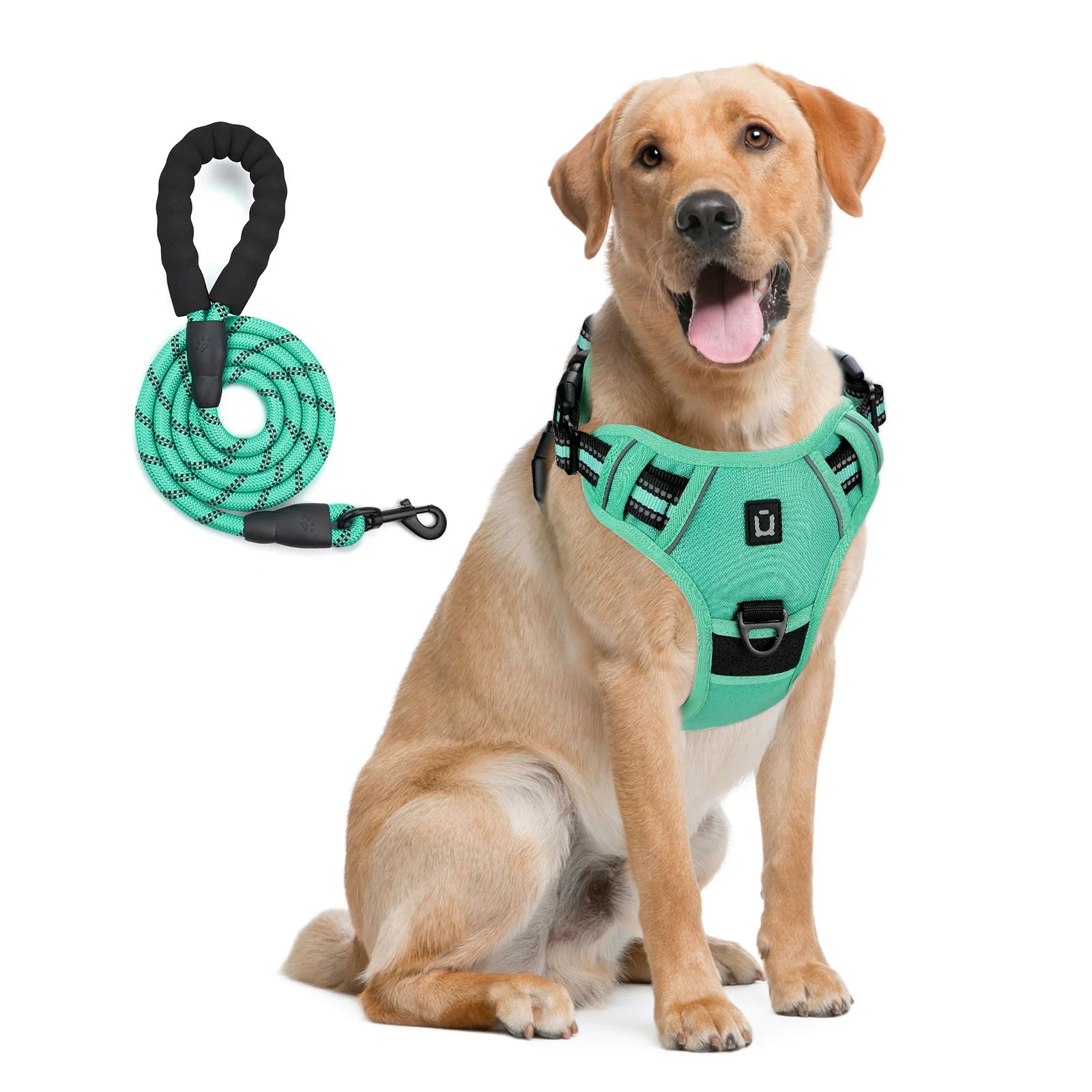 Dog Harness and Leash Set