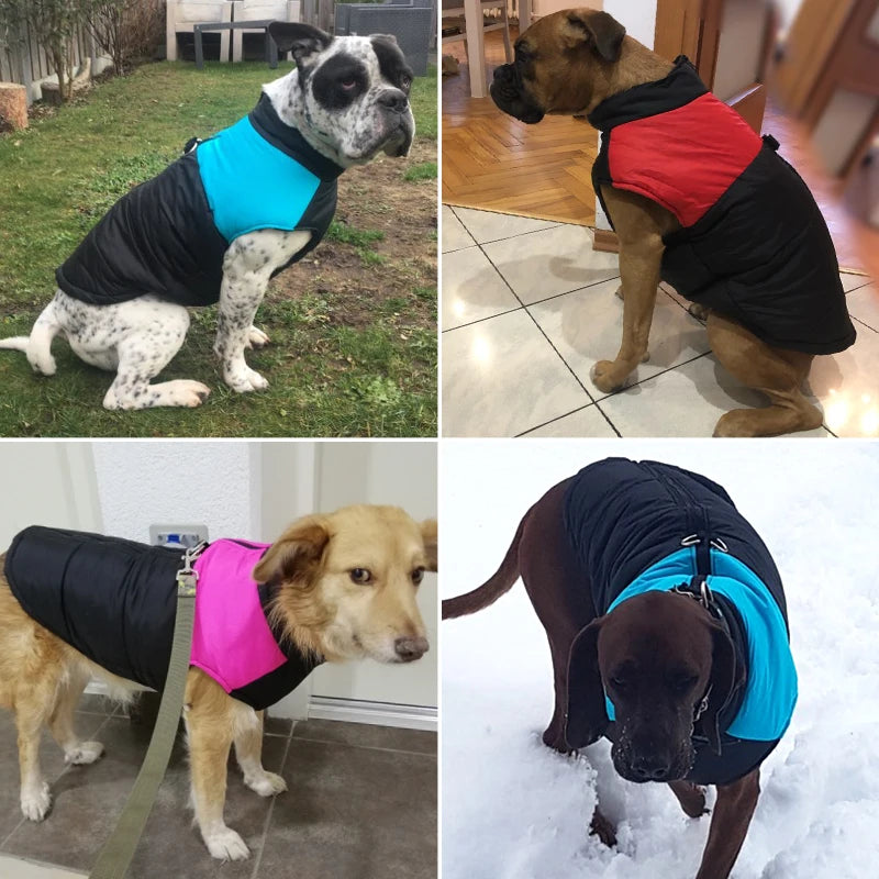 WeatherGuard Dog Coat