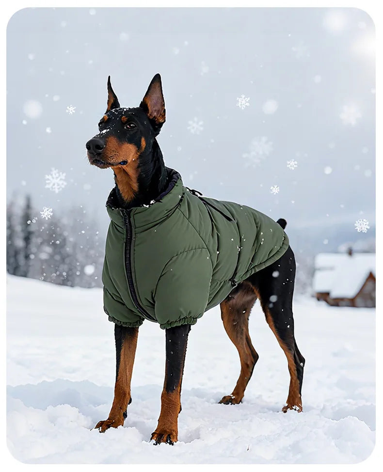 Storm Shell Performance Coat