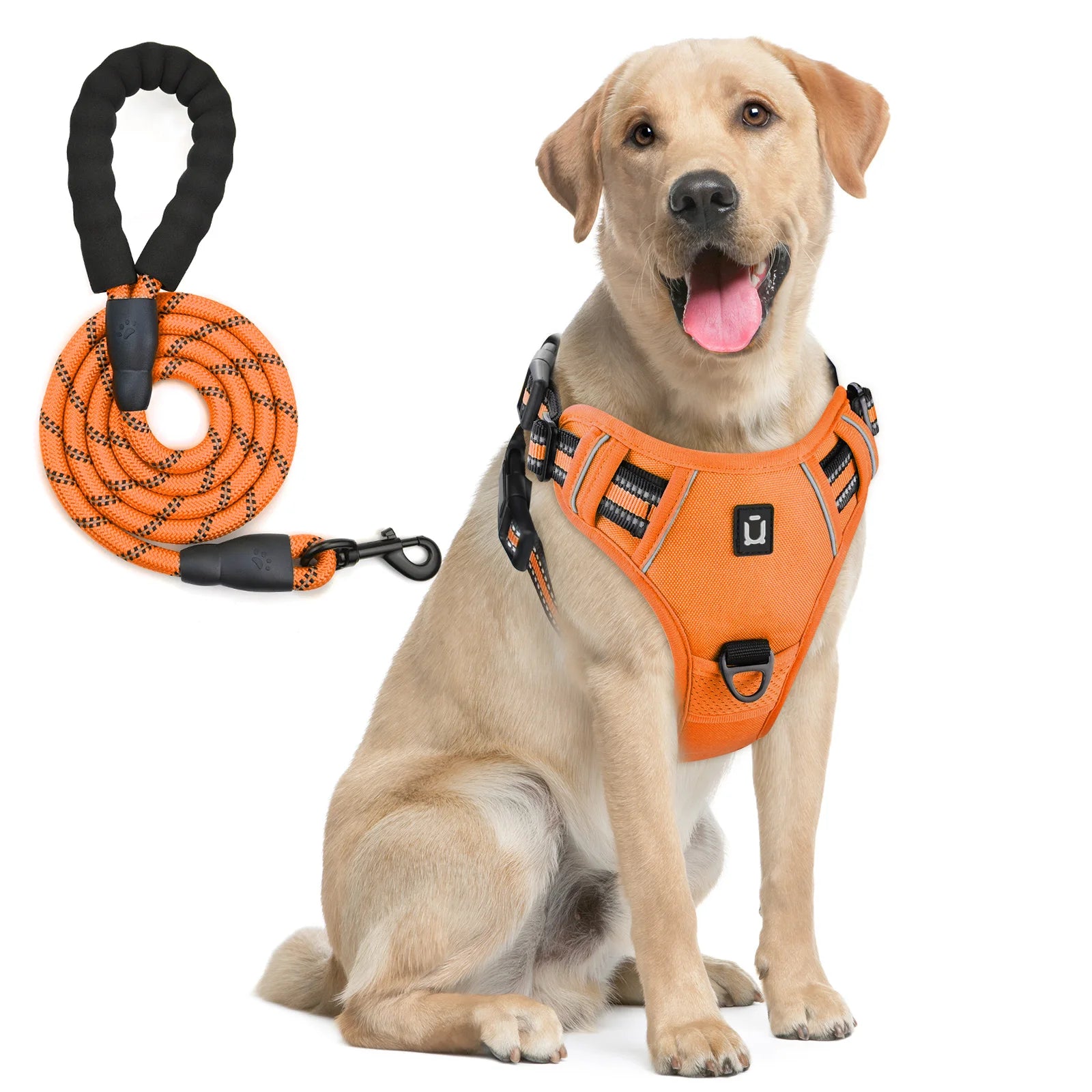 Dog Harness and Leash Set